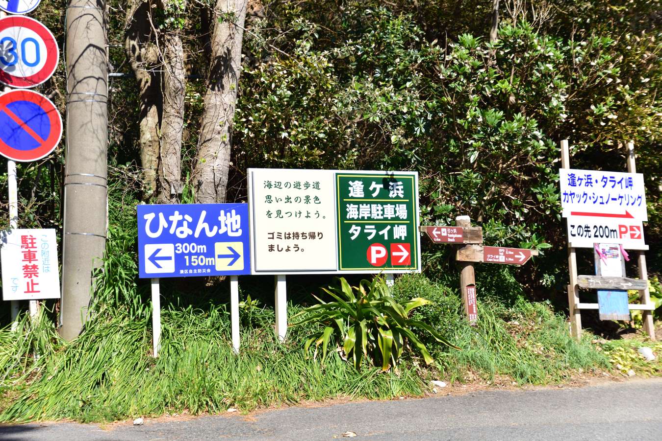逢ケ浜案内